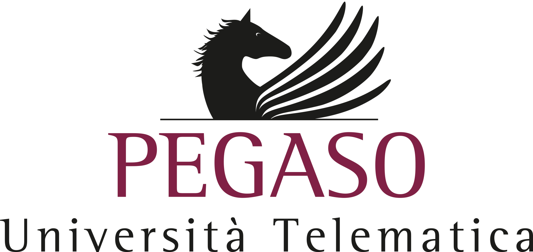 UNIVERSITA’ PEGASO  “Programma Classform”