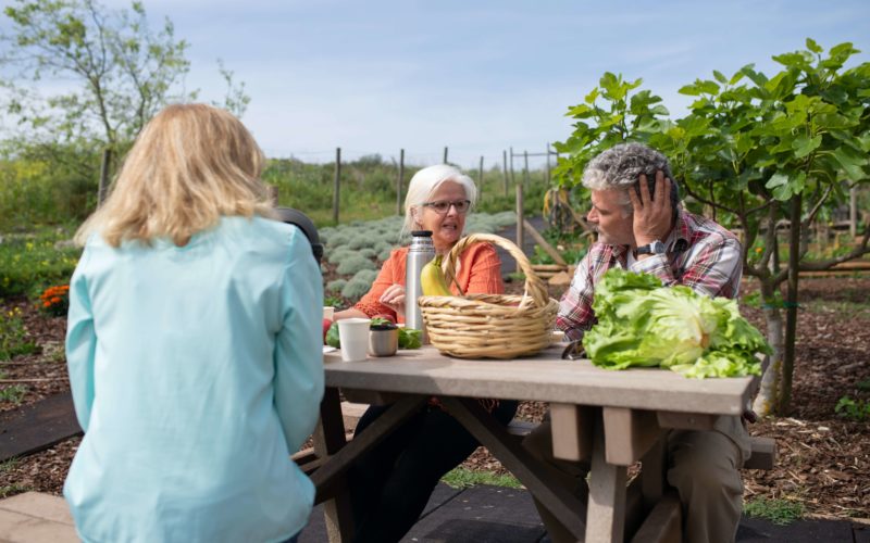 Riforma delle pensioni