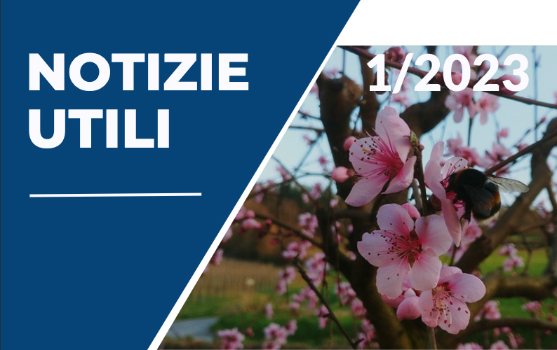Notizie utili